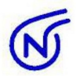 Noramco™ Logo