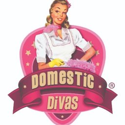 Company logo Domestic Divas York Ltd