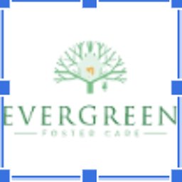 Company logo Evergreen Foster Care