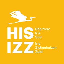 Hôpitaux IRIS Sud Logo