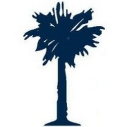 Company logo PALMETTO INFUSION