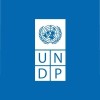 شعار الشركة UNDP in the Arab States region