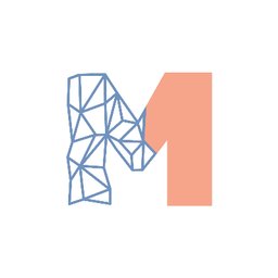 Company logo PRAKTIJK MEMO