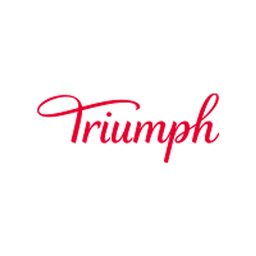 公司标志 Triumph International