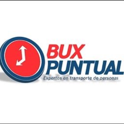Logotipo de la empresa BUX PUNTUAL SA DE CV