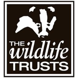 Company logo Royal Society of Wildlife Trusts
