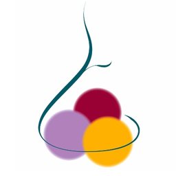 Logo de l'entreprise TA Lyon SARL