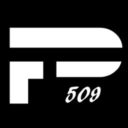Company logo Precizion 509 Gymnastics