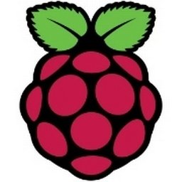 Company logo Raspberry Pi Foundation