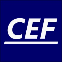 Company logo CEF Solutions Inc.