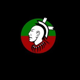 Company logo Sac and Fox Tribe of Iowa