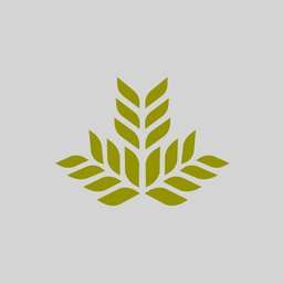 Company logo Northeast Georgia Health System
