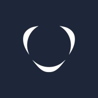 Company logo Citymesh