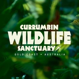 Company logo Currumbin Wildlife Sanctuary