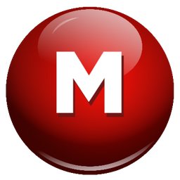 Company logo MAGNUS HRS