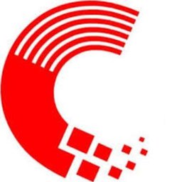 Company logo CITIGUARD SECURITY