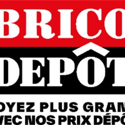 Logo de l'entreprise Brico Depôt