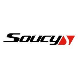 Company logo Soucy Group