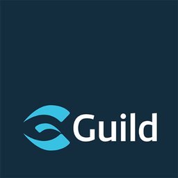 Company logo Guild Group
