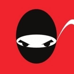 Company logo CodeNinja