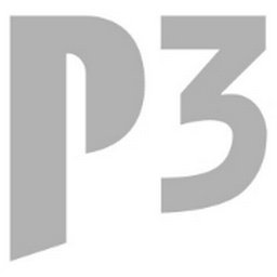 P3 Group GmbH Logo