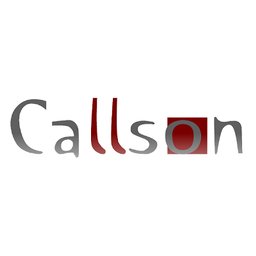 Logo de l'entreprise CALLSON