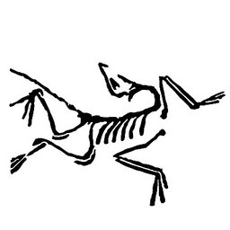 Company logo ARC'TERYX
