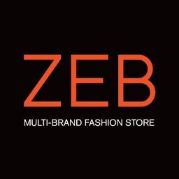 Company logo ZEB