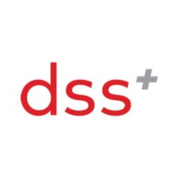 Company logo dss+
