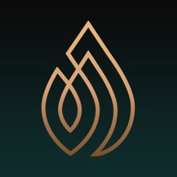 Company logo HighTies Cannabis Store