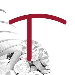 Logo de l'entreprise TERIDEAL