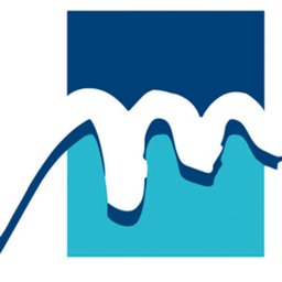 SELAS MEDIPATH Logo
