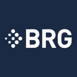 Company logo Berkeley Research Group, LLC
