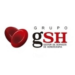 Company logo GRUPO GSH
