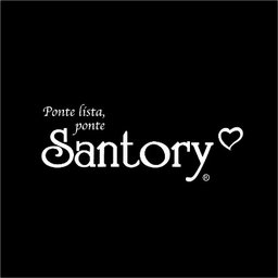 Logotipo de la empresa Santory Internacional