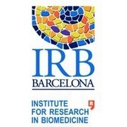 Logotipo de la empresa IRB Barcelona