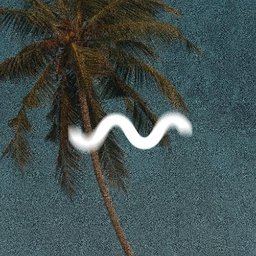 Company logo Shaka vibes