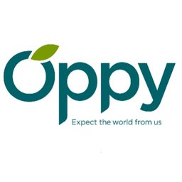 Company logo The Oppenheimer Group