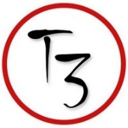 Company logo T3 SECURITY LTD
