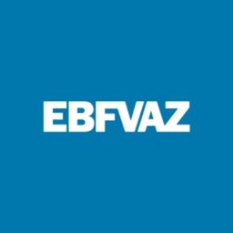 Company logo EBF Vaz Indústria e Comércio Ltda
