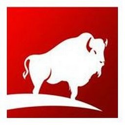 Company logo The Buffalo Group
