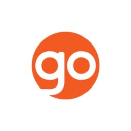 Company logo Go Auto