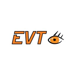 Firmenlogo Eye Vision Technology GmbH