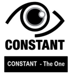 Company logo Constant security