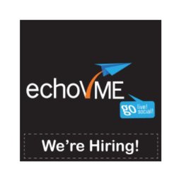 कंपनी का लोगो echoVME Digital