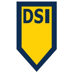 Company logo DSI Security Services