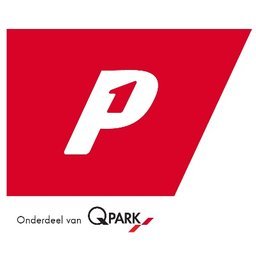 Company logo P1