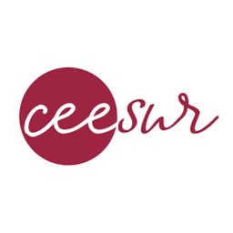 Logotipo de la empresa ceesur