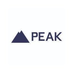 Company logo PEAK Financial Group