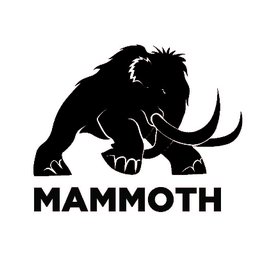 Company logo THE MAMMOTH INC